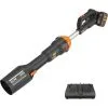 WORX 40V Souffleur Feuilles Mortes Sans Fil WG585E, Batterie Powershare, Moteur Sans Balais